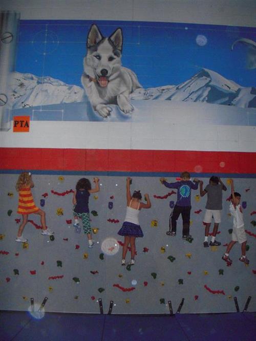 climbing wall